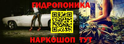 крисы Пугачёв