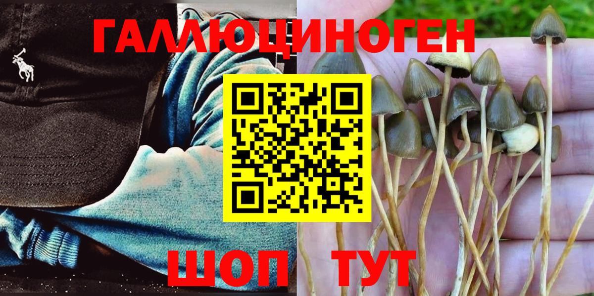 Советская Гавань  где можно купить наркотик  Вход с VPN  Псилоцибиновые грибы ЛСД 