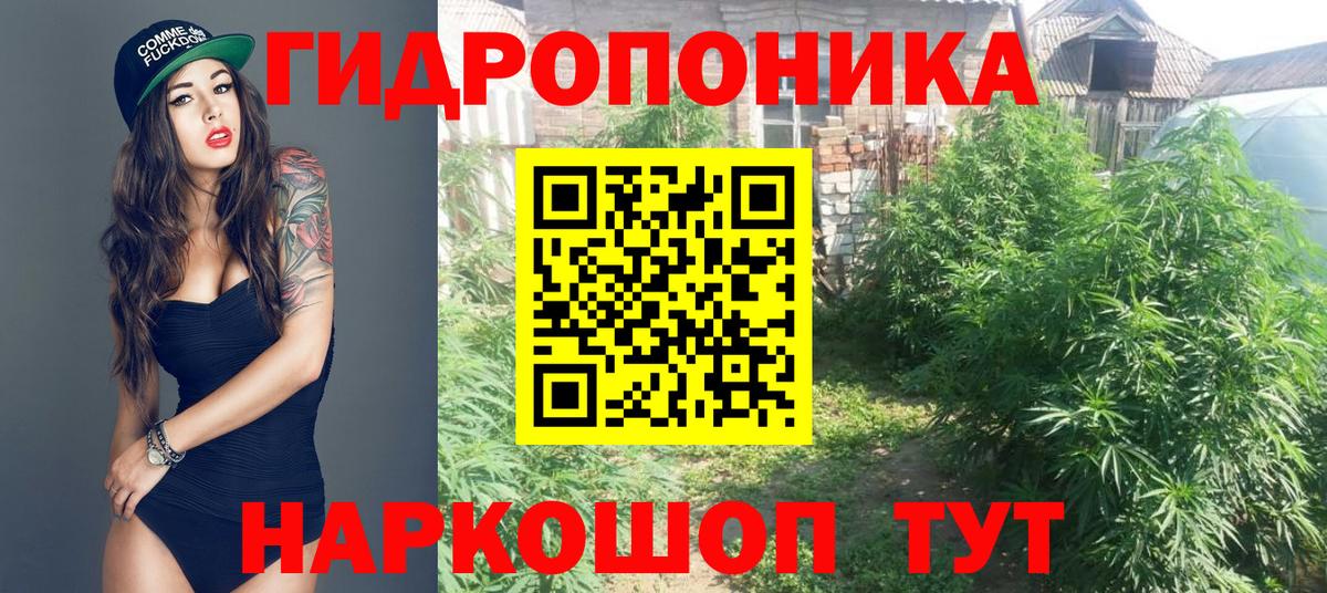 Бошки Шишки конопля Советская Гавань